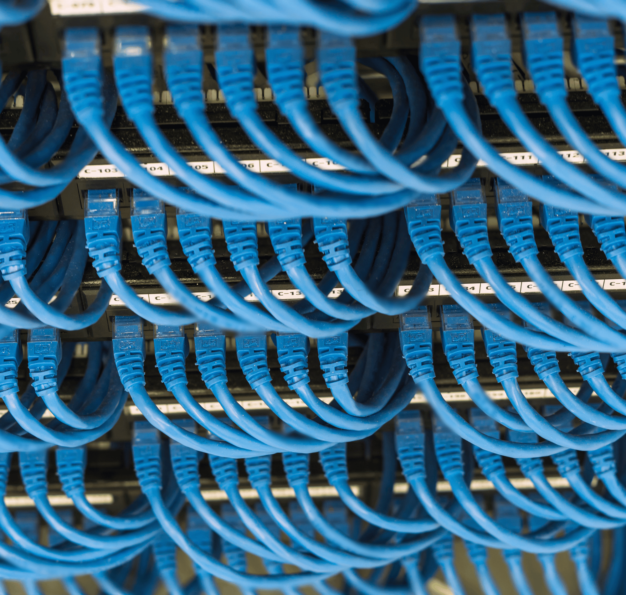 Cat6 cables used in business